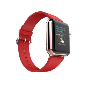 Hoco Pago Style leather Apple Watch 42mm bracelet with adapters Hoco Straps Apple Watch 42mm - 22