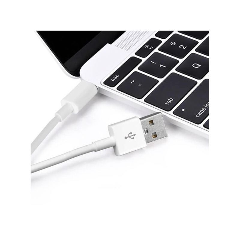 Achat Adaptateur convertisseur Firewire IEEE 1394 6Pin Femelle vers USB  Male - Câbles et adaptateurs MacBook - MacManiack