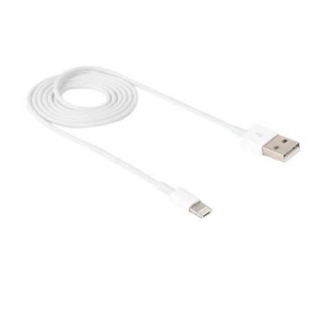 Micro USB + Lightning cable