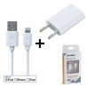 2 in 1 white pack MFI cable lightning + CE approved mains charger
