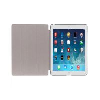 iPad Air 9.7 wallet case