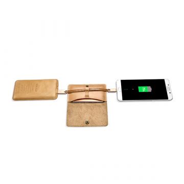 iCarer Blitzkabel + Koffer iCarer Ladegeräte - Batterien externe - Kabel iPhone X - 6