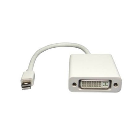 Achat Adaptateur Mini DisplayPort vers DVI CHAMA-005