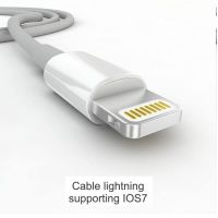 Achat Câble lightning blanc 1 mètre pour iPad iPhone iPod CHA00-062X