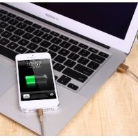 Achat Câble lightning gold pour iPad iPhone iPod