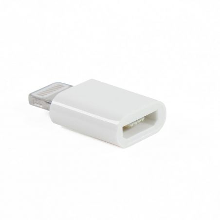 Micro USB adapter for iPhone