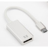 Adaptateur DisplayPort vers USB-C