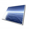 Ecran LCD MacBook Pro 15" Unibody 2008-2012 (A1286)