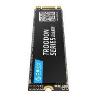 Achat SSD M.2 2280 ORICO-N300