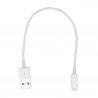 Câble court & charge rapide (15cm) (Lightning / USB-C / MicroUSB)