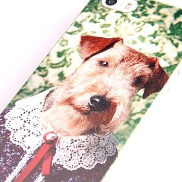 Starre Hundeschale mit Spitzenhalsband iPhone 5/5S/SE  Abdeckungen et Rümpfe iPhone 5 - 5