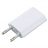 Chargeur secteur blanc USB iPhone iPod